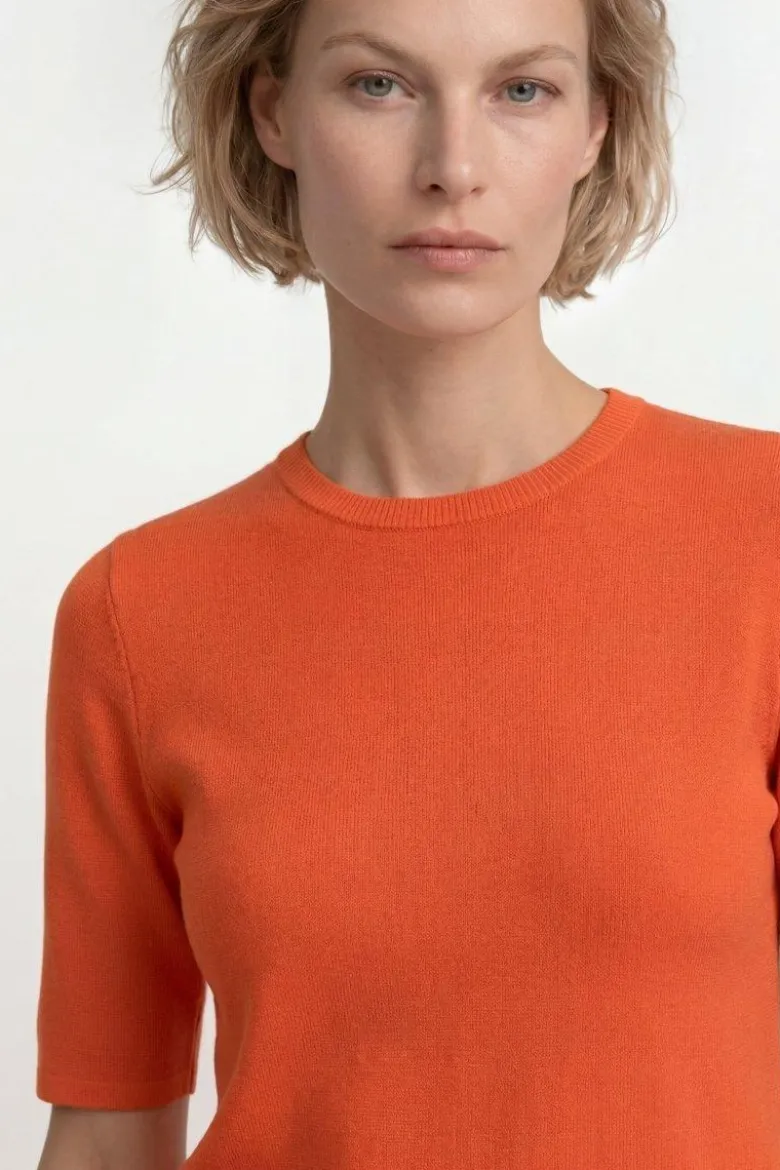 Kurzarm-Pullover mit Rippkragen