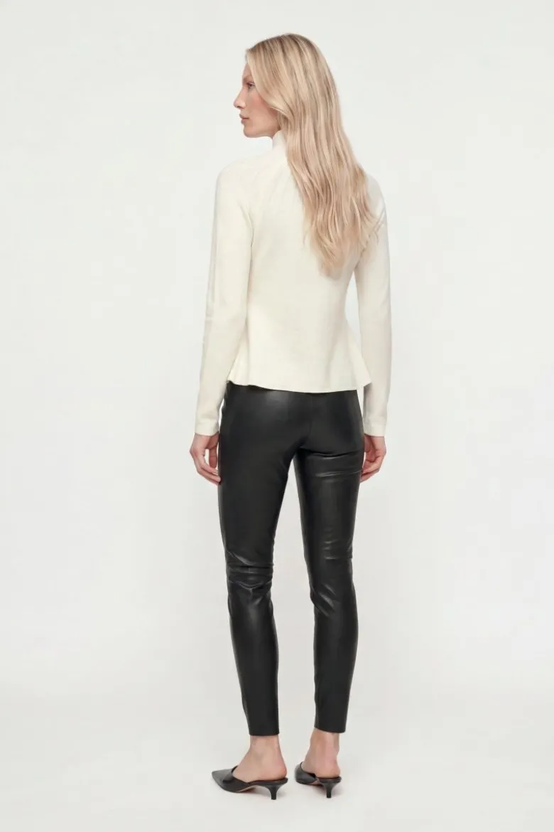 Lederimitathose