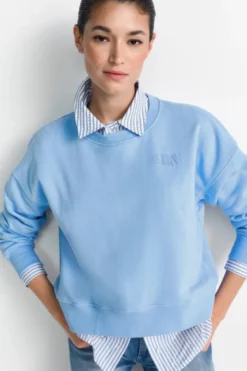 Sweatshirt mit Stickerei