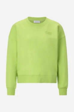 Sweatshirt mit Stickerei