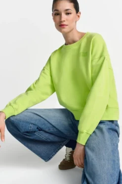 Sweatshirt mit Stickerei